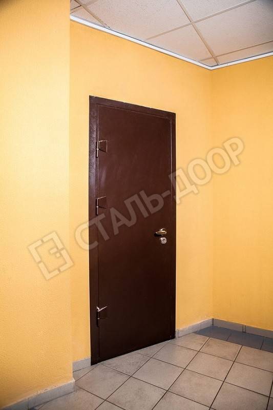 Металлическая дверь с порошковым окрасом